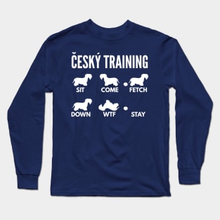 Cesky Terrier Dog Training Cesky Dog Tricks Long Sleeve T-Shirt